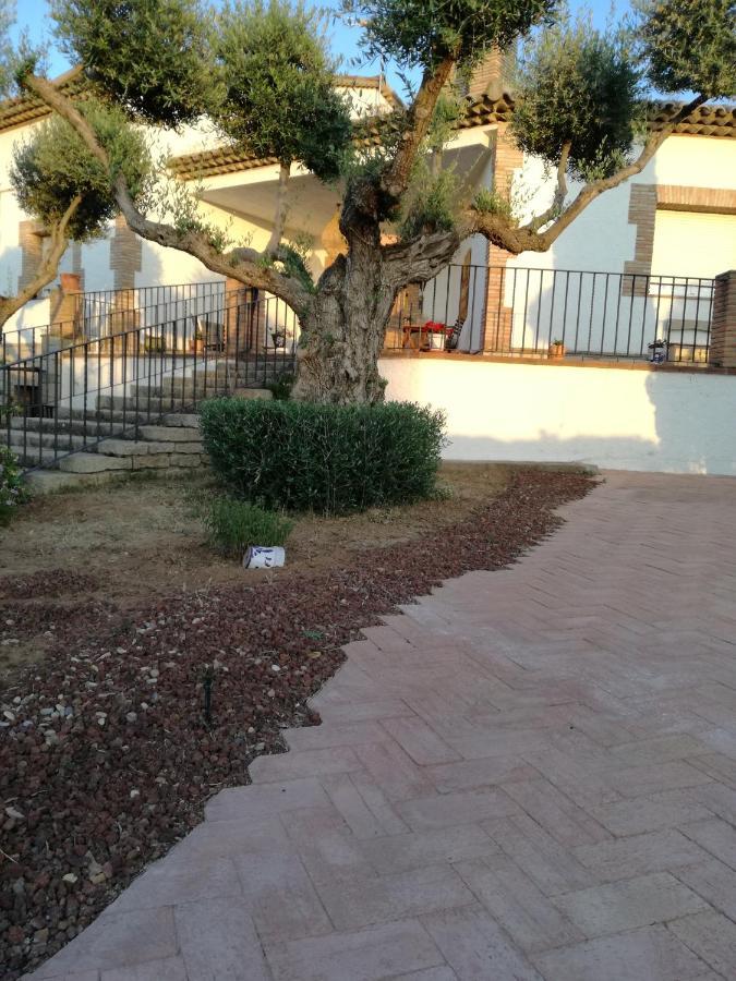 Casa Rural La Amistad Villa Burguillos de Toledo Eksteriør bilde