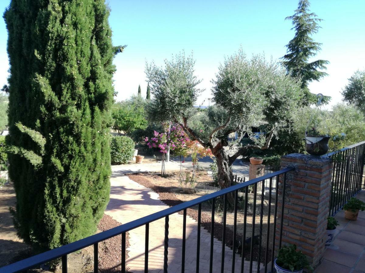 Casa Rural La Amistad Villa Burguillos de Toledo Eksteriør bilde