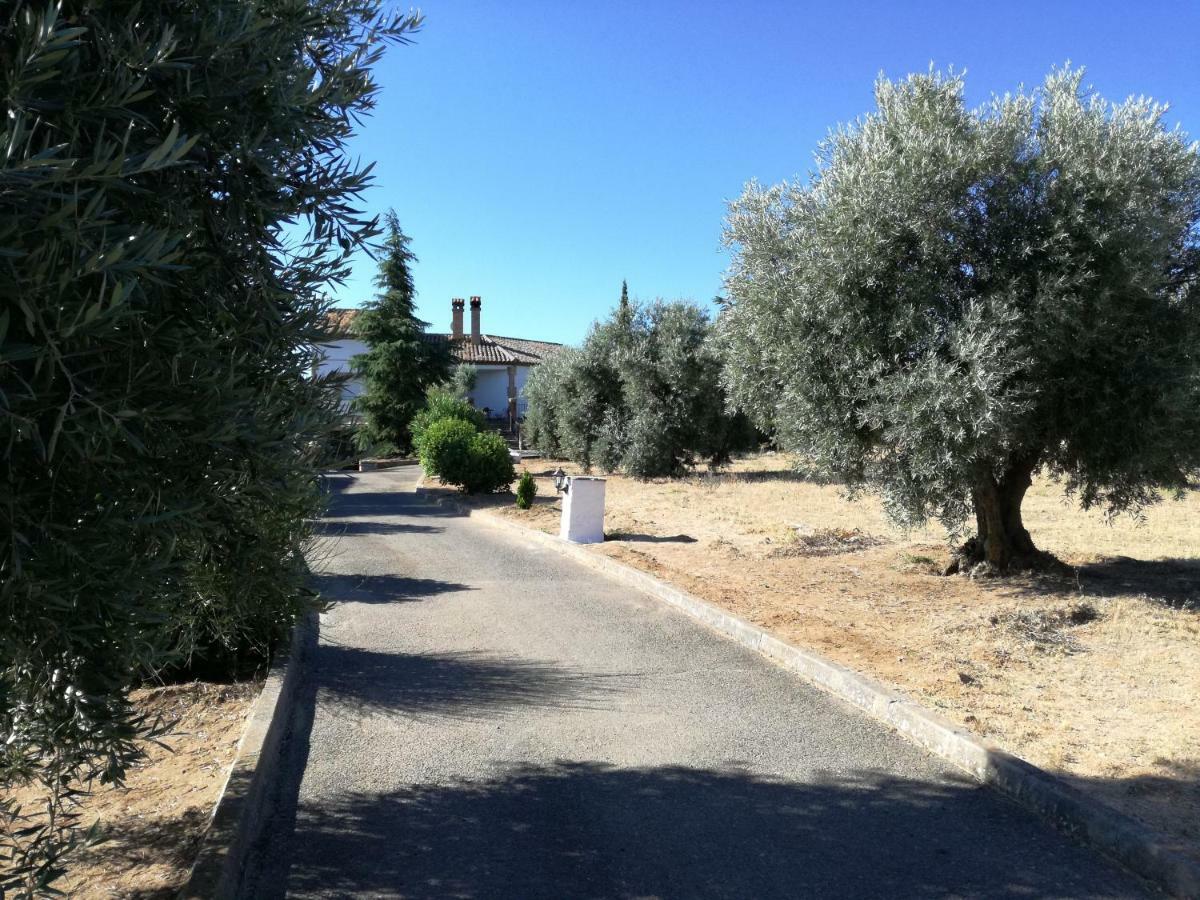 Casa Rural La Amistad Villa Burguillos de Toledo Eksteriør bilde