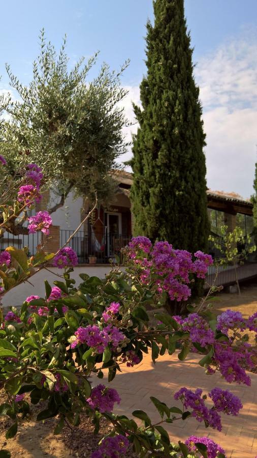 Casa Rural La Amistad Villa Burguillos de Toledo Eksteriør bilde