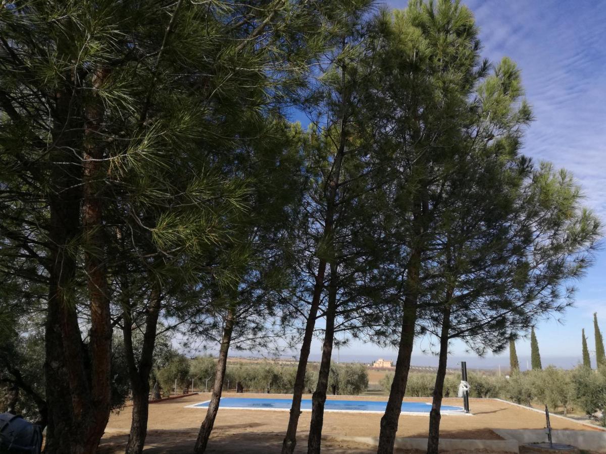 Casa Rural La Amistad Villa Burguillos de Toledo Eksteriør bilde